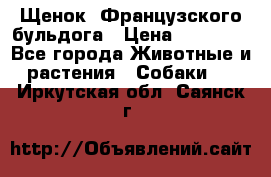 Щенок  Французского бульдога › Цена ­ 35 000 - Все города Животные и растения » Собаки   . Иркутская обл.,Саянск г.